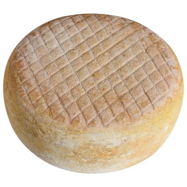 Matocq Tomme des Pyrénées IGP - Tomme entière