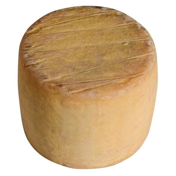 Matocq Tommette Pur Brebis - Tommette entière